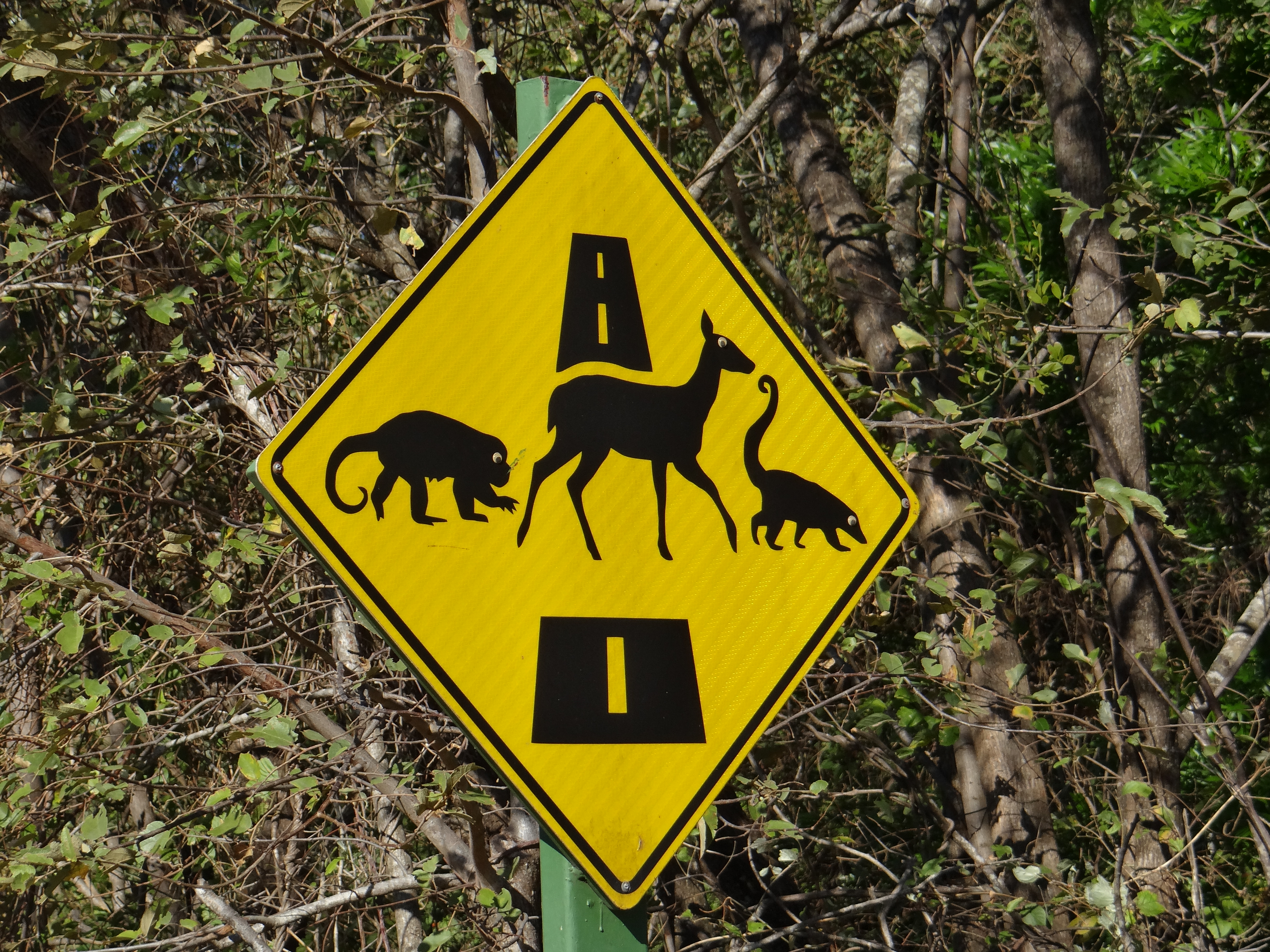 costa rica, signalisation